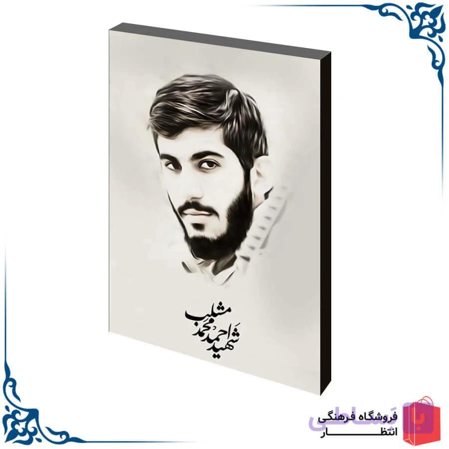 شاسی عکس شهید مشلب