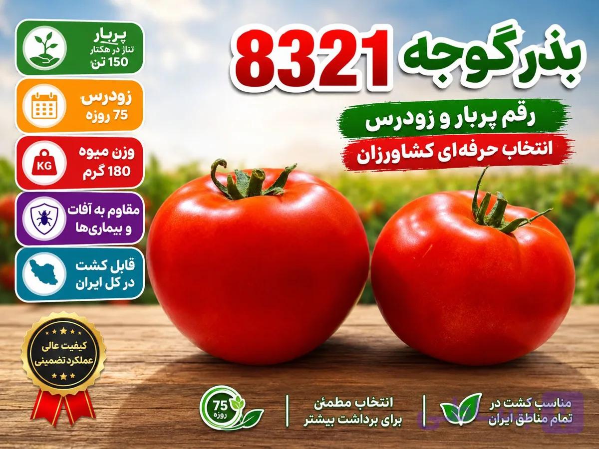 بذر گوجه 8321 — تصویر 1