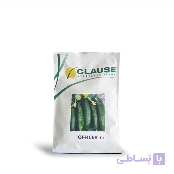 بذر خیار آفیسر