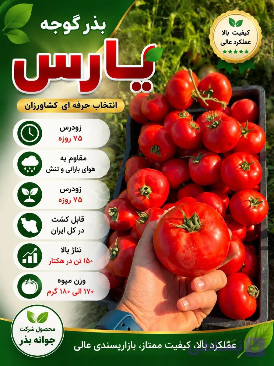رقم گوجه یارس