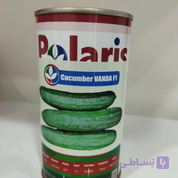 بذر خیار واندا