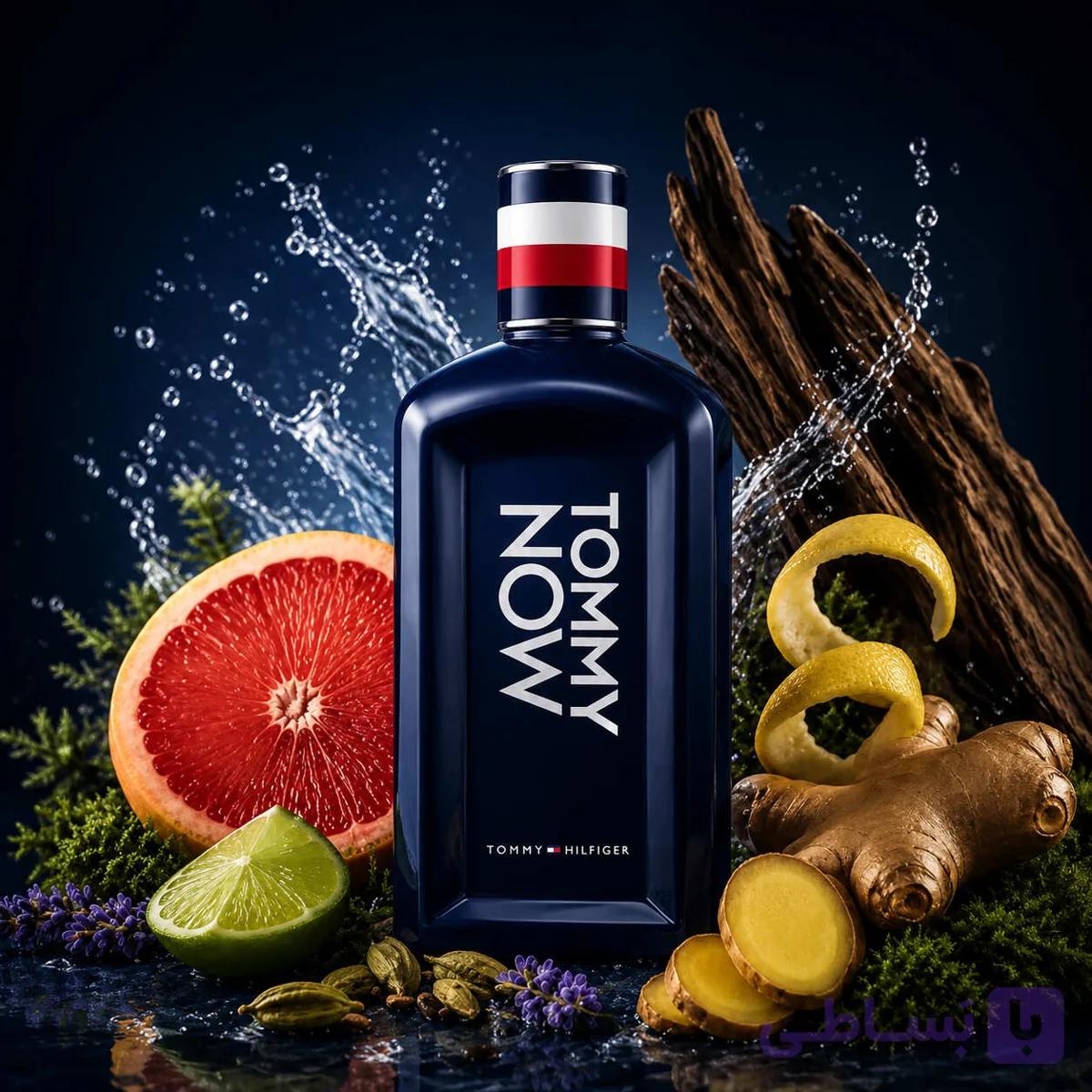 اسانس عطر تامی هیلفیگر تامی نیو (ناو) Tommy Hilfiger Tommy Now