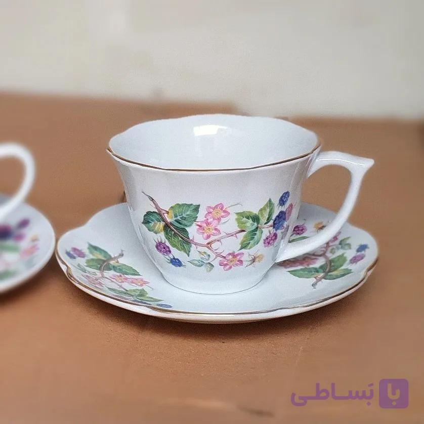 فنجان نعلبکی لب طلایی رُز سالزبورگ-بسته یک عددی — تصویر 1