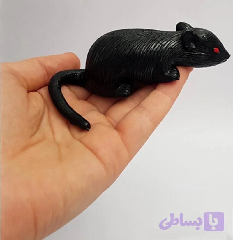 موش سیلیکونی