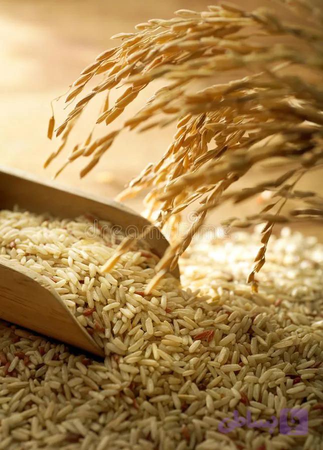 برنج قهوه ای هاشمی اعلا
