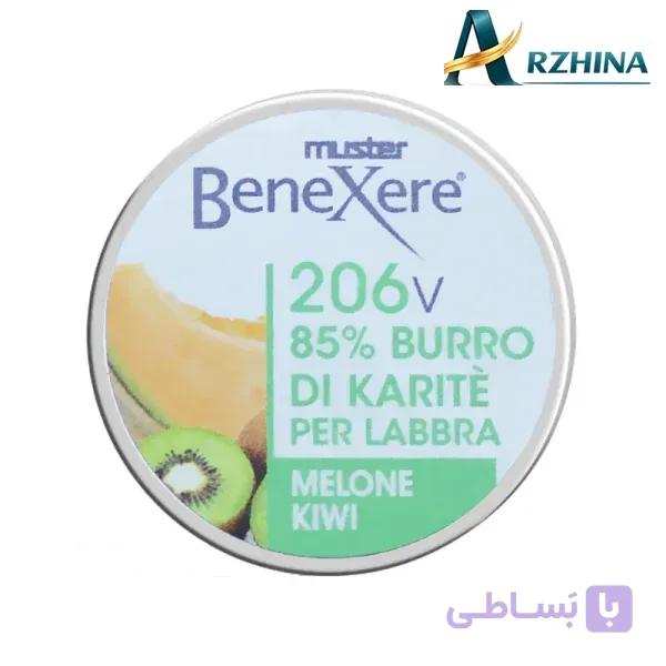 بالم لب بنگزیر مدل 206V رایحه ملون و کیوی حجم 15 میل — تصویر 1