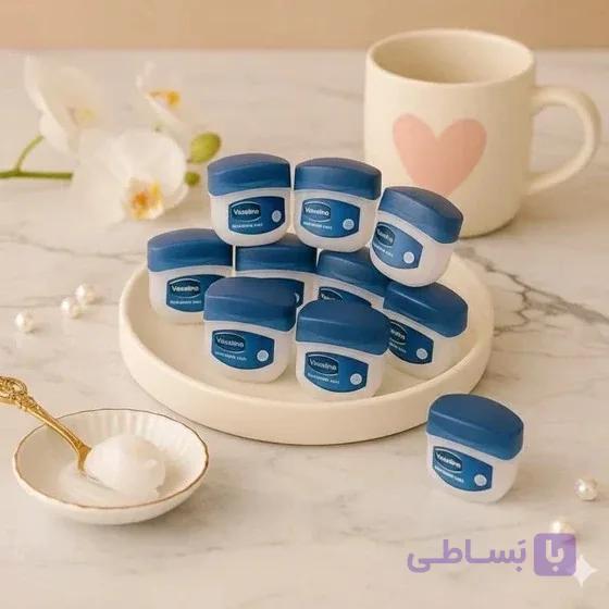 بالم لب مینی