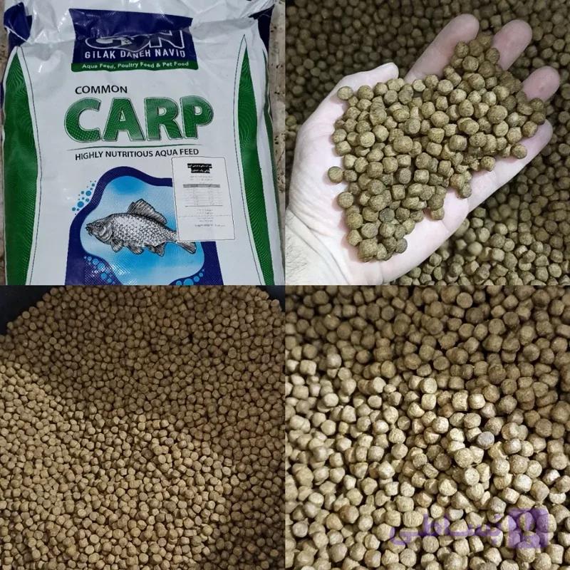 لوفاک ماهیگیری لوفاک دونه ای طعمه ماهیگیری لوفاک پودر ماهیگیری پودر ماهی