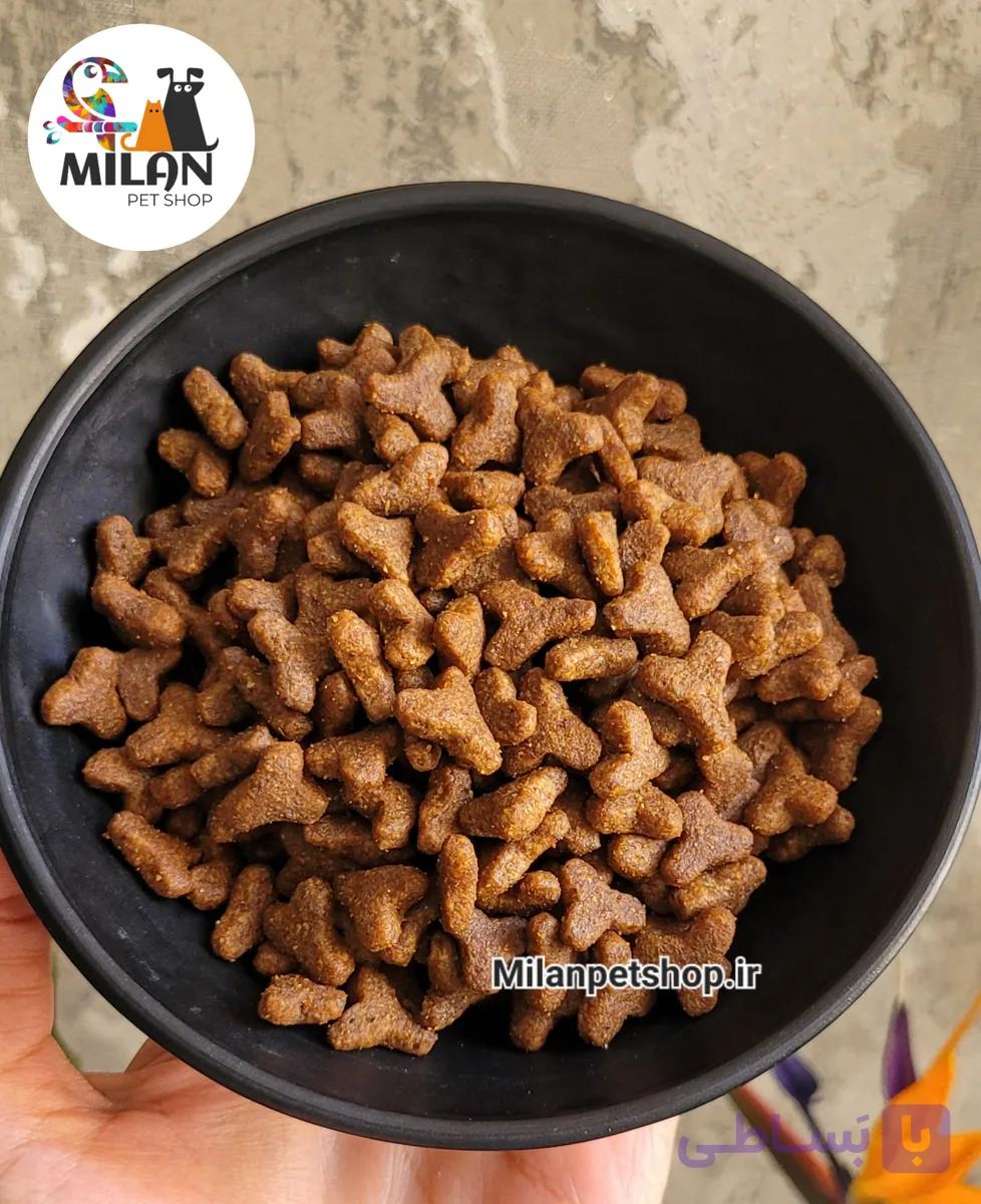 غذا خشک کتلوکس سوپر پریمیوم اورژینال