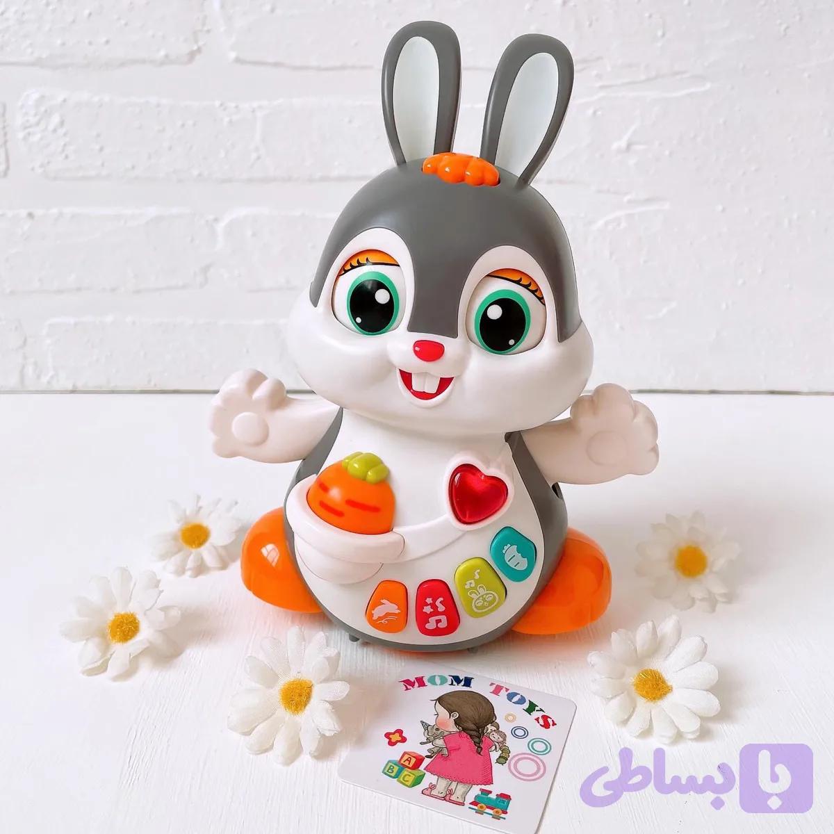 خرگوش هولیتویز🐰