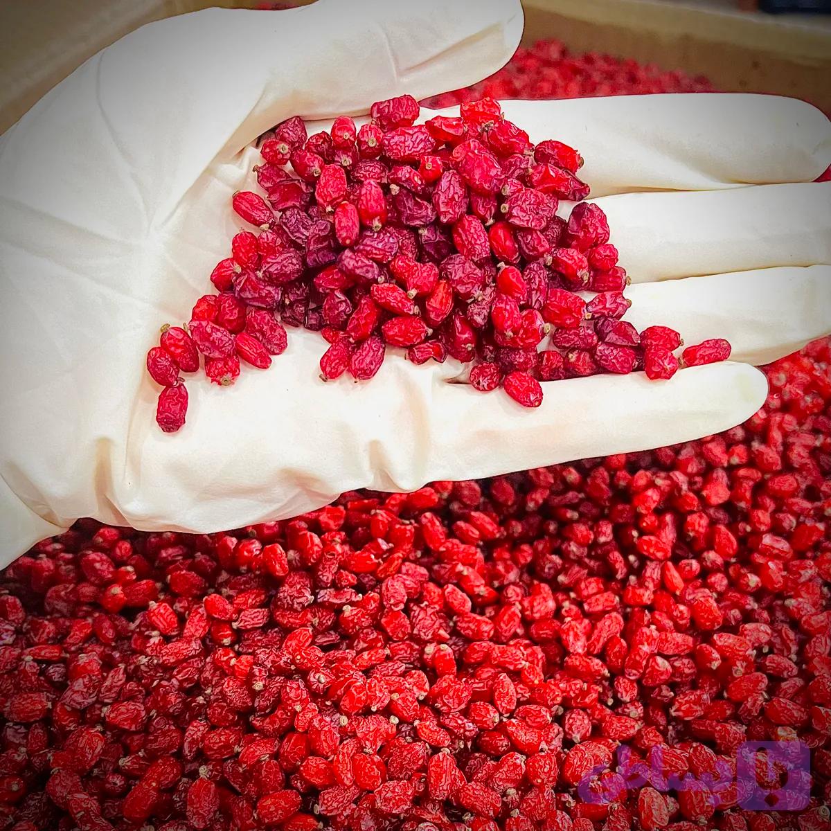 زرشک پفکی درشت و یکدست بدون روغن