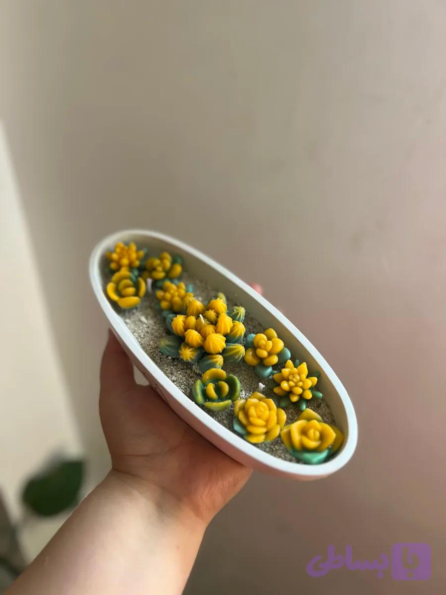 شمع باغچه کاکتوس