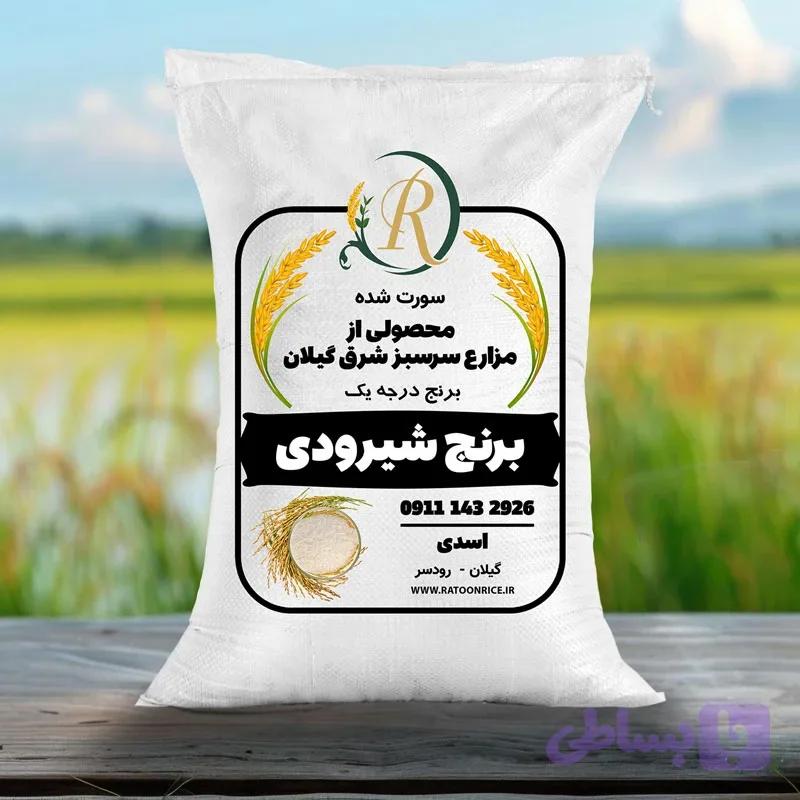 برنج شیرودی — تصویر 1