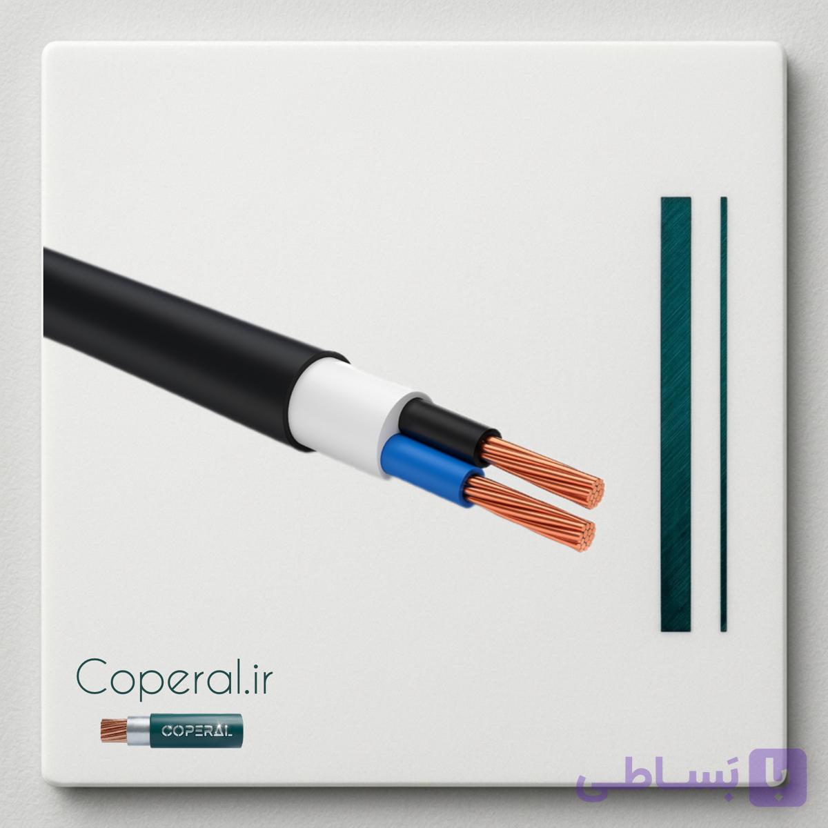 کابل ۲ در ۱۰ مفتول NYY زیتون کد cs-2*۱۰ma