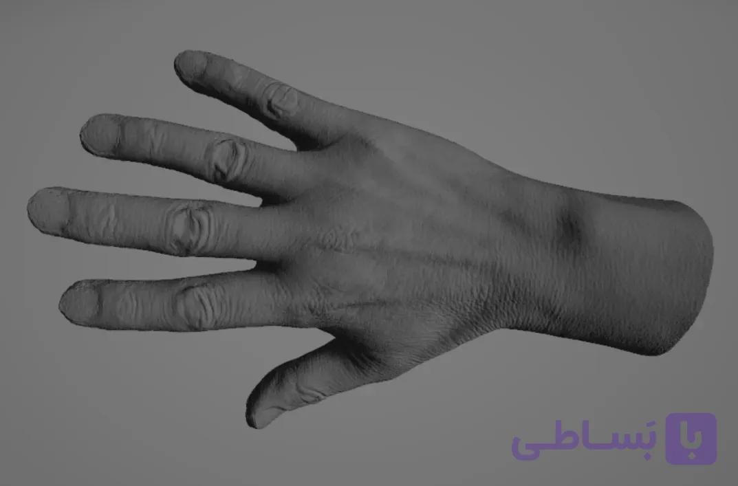دانلود مدل سه بعدی اسکلت انسان (همراه با تسکچر) — تصویر 1