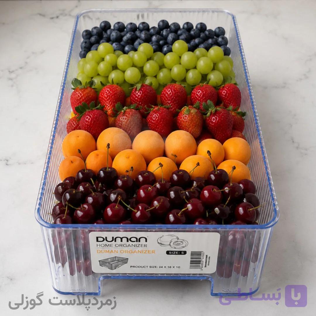 نظم دهنده یخچال دومان — تصویر 1