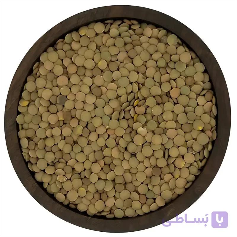 عدس درشت قهوه ای