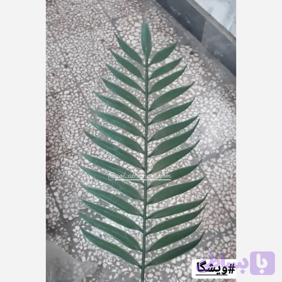 برگ ویشکا