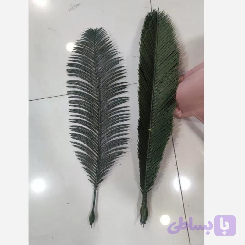 برگ سیکاس