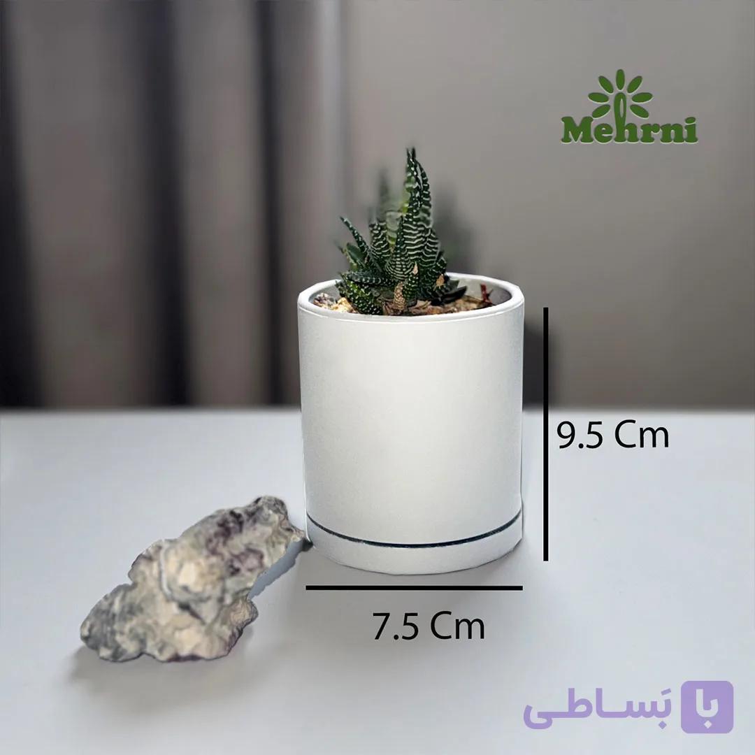گلدان استوانه 103/7.5B — تصویر 1