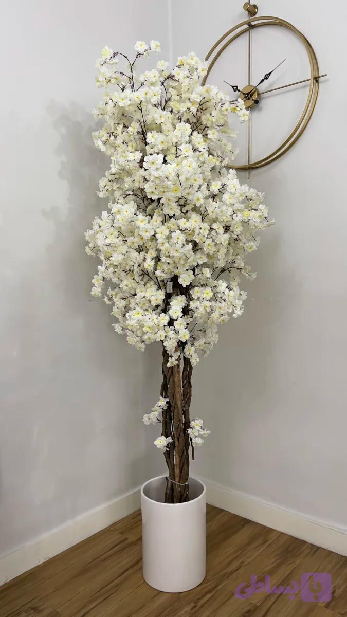 درختچه شکوفه