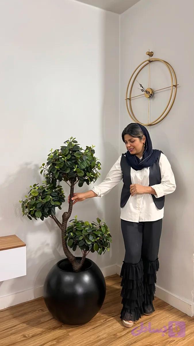 درختچه بونسای ۳کپه