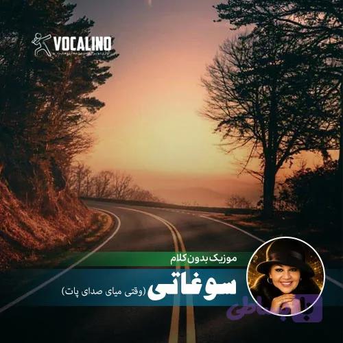 آهنگ بیکلام وقتی میای صدای پات با تنظیم جدید