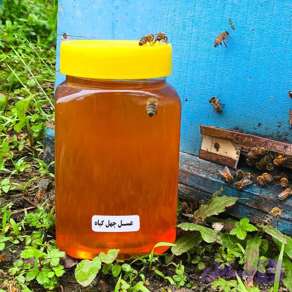 عسل چهل گیاه 1 کیلو گرم