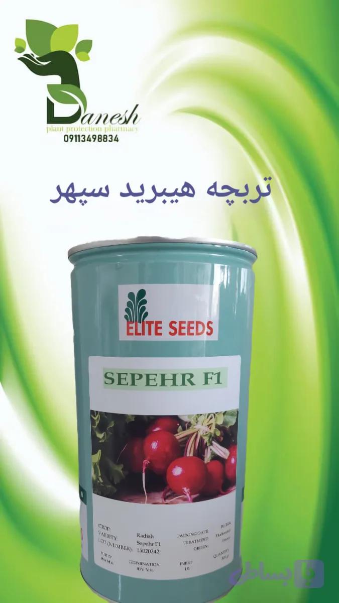 تربچه هیبرید سپهر