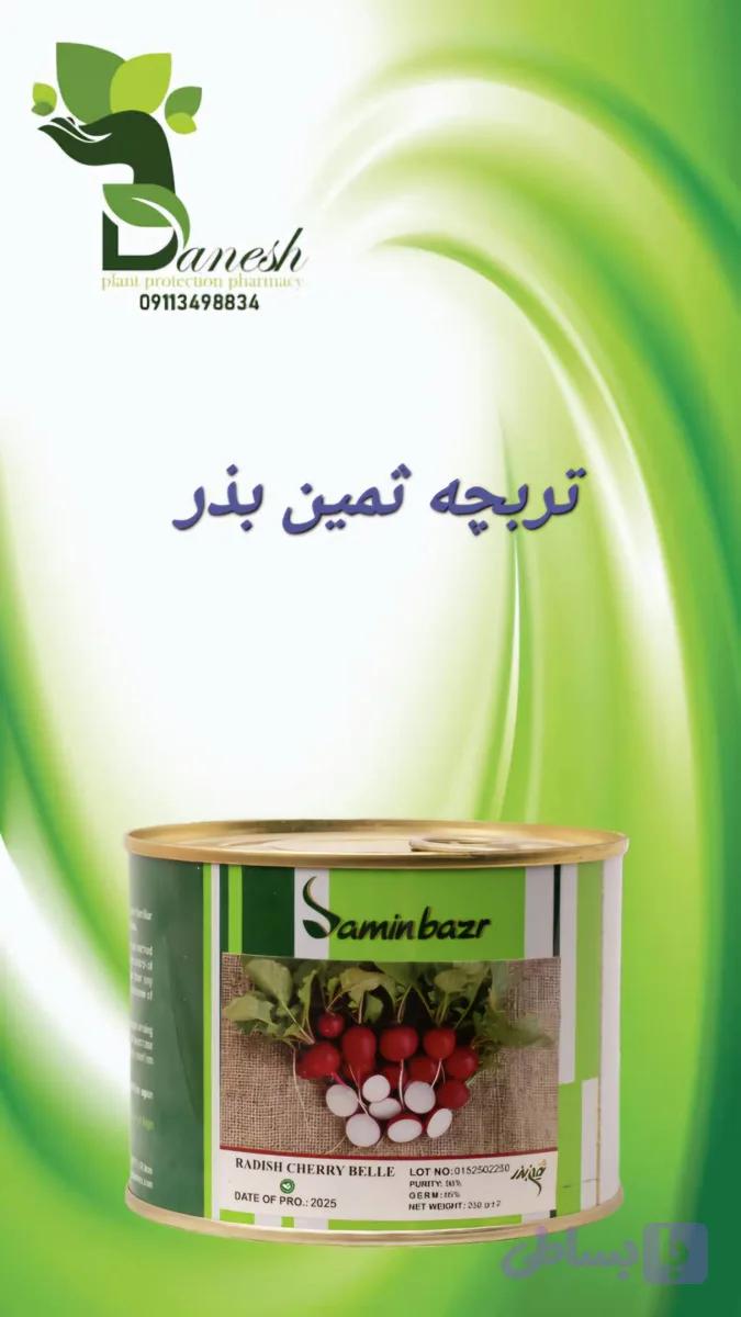 بذر تربچه نقلی ثمین بذر محصول شرکت گلسم گرگان