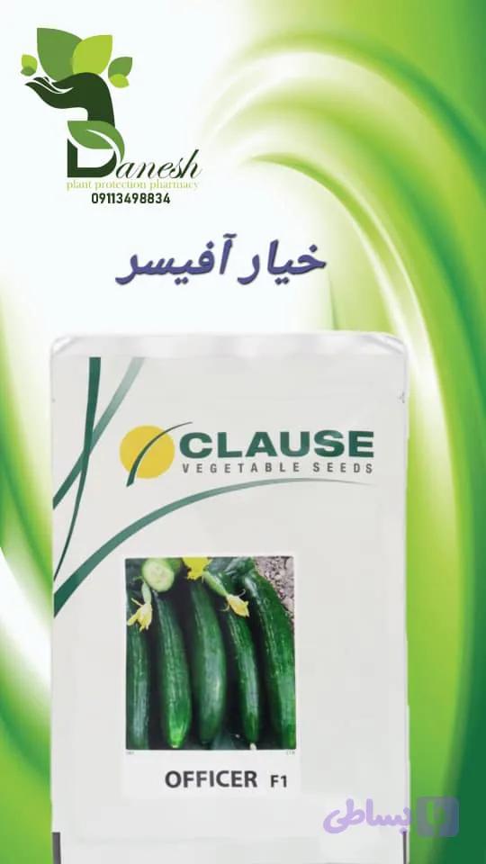 بذر خیار هیبرید افیسر