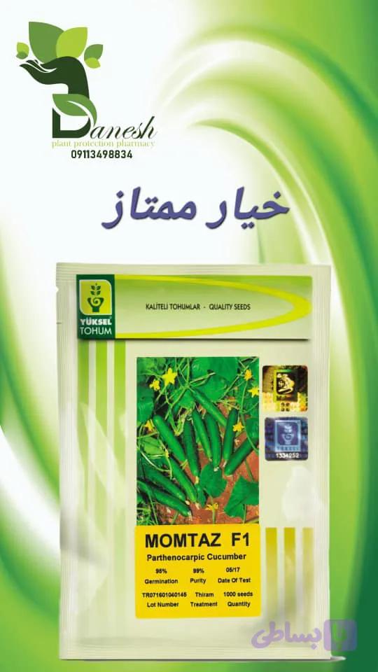 بذر خیار ممتاز