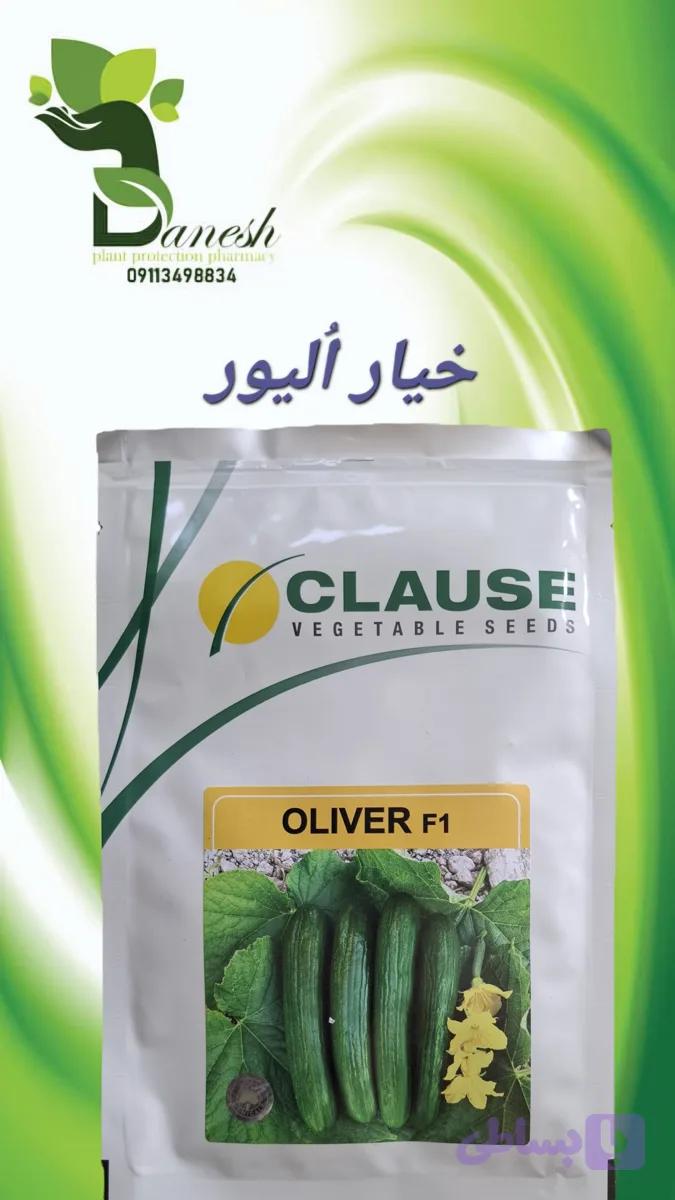 بذر خیار هیبرید الیور