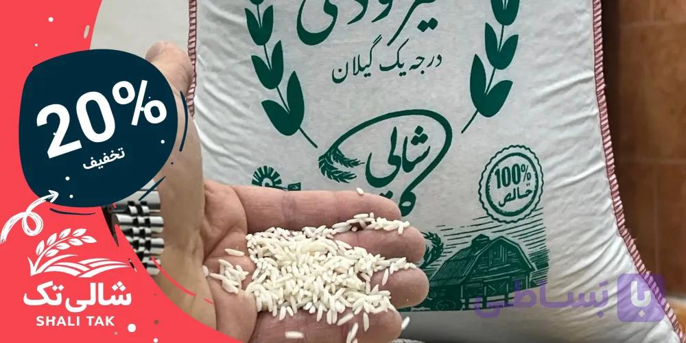برنج شیرودی معطر گیلان – مستقیم از شالیزار | 10 کیلویی — تصویر 1