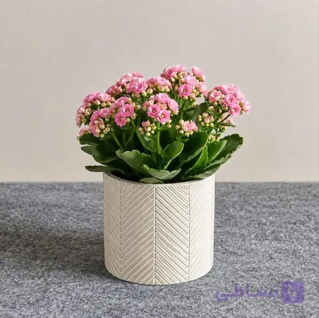 گلدان آراسته