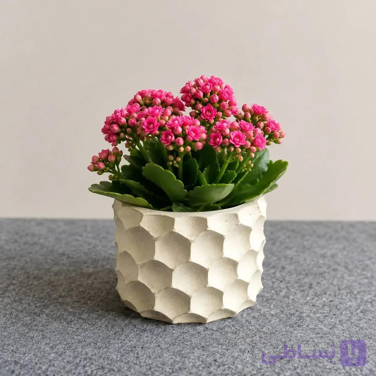 گلدان لونه زنبور