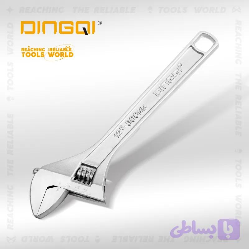 اچار فرانسه 10 اینچ دینگی AF01602