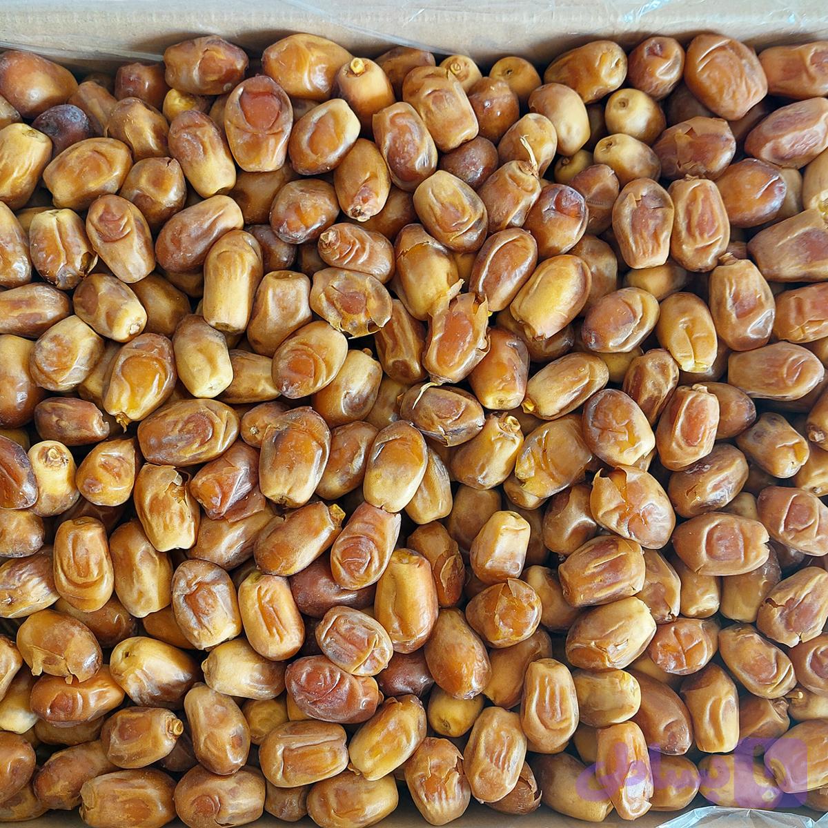 خرمای زاهدی لوکس