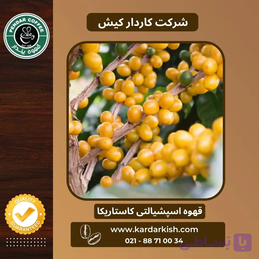 قهوه سبز اسپشیالتی کاستاریکا کد 01