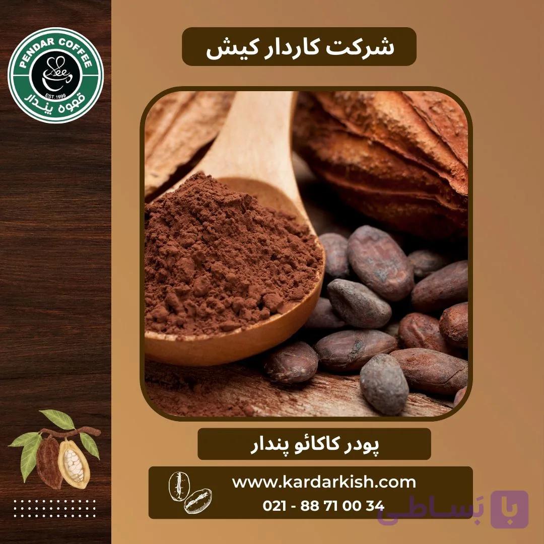 پودر کاکائو پندار | 500 گرم