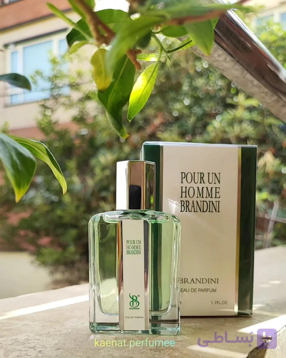 عطر کارون پوران هوم ۳۳ میل برندینی نوستالژی و لوکس معروف به عطر شاه
