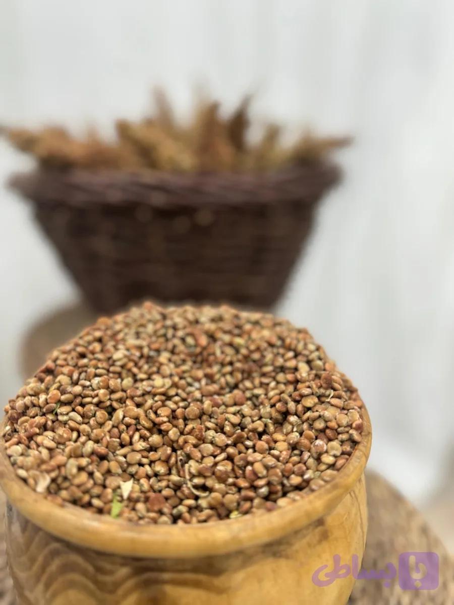 دان سماق