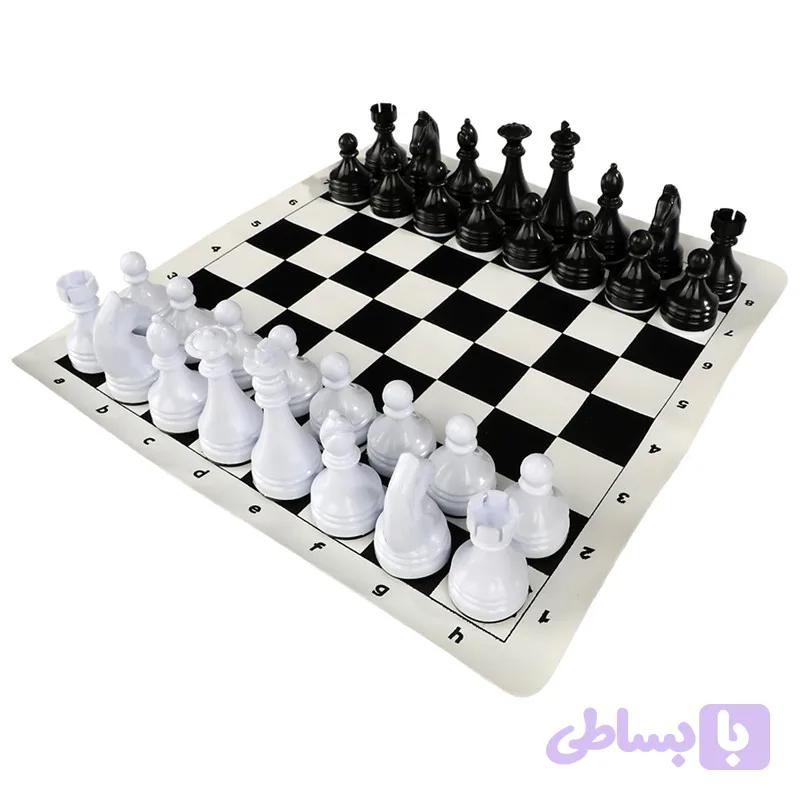 شطرج حرفه ای
