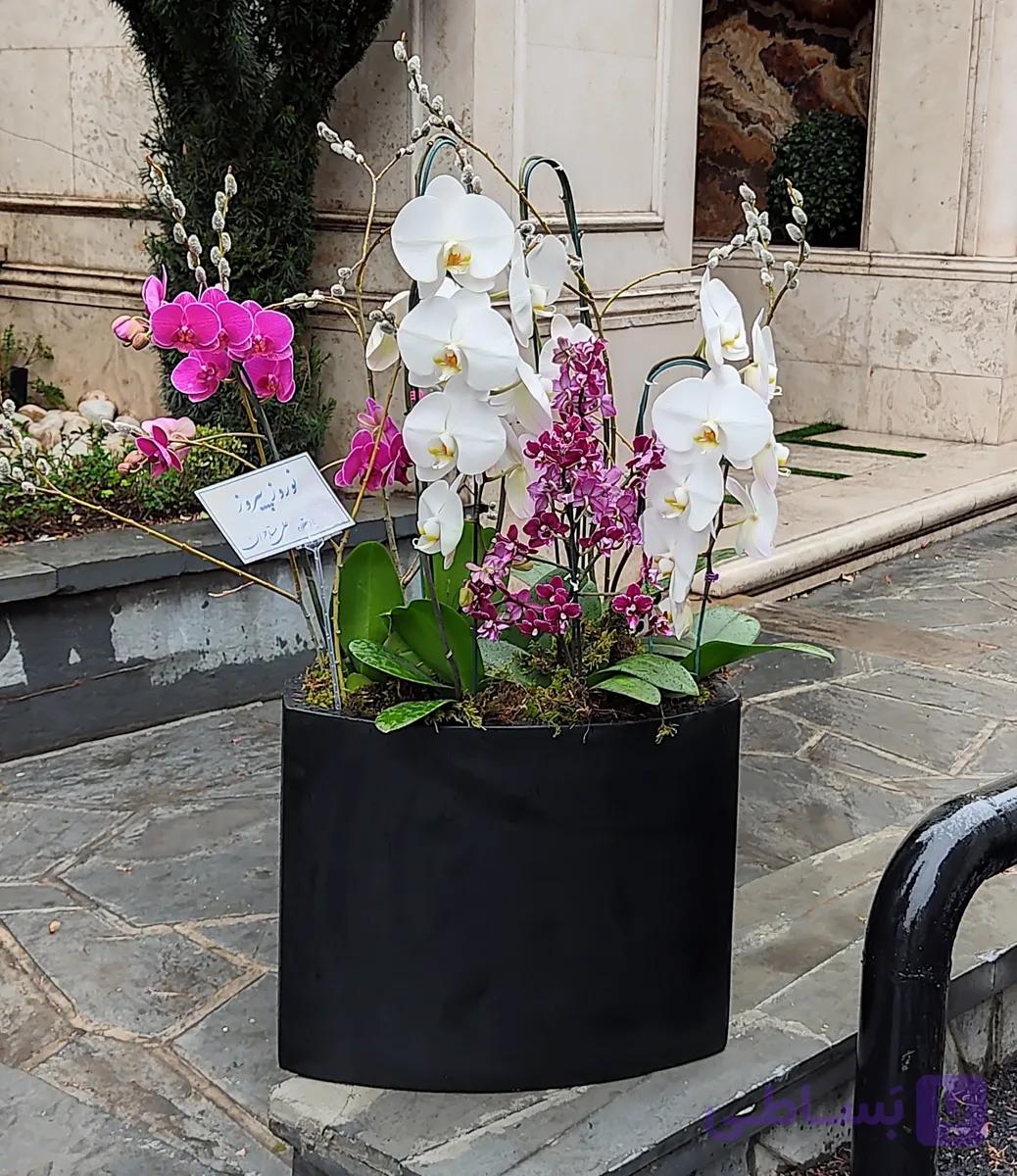 گلدان ارکیده کد 04