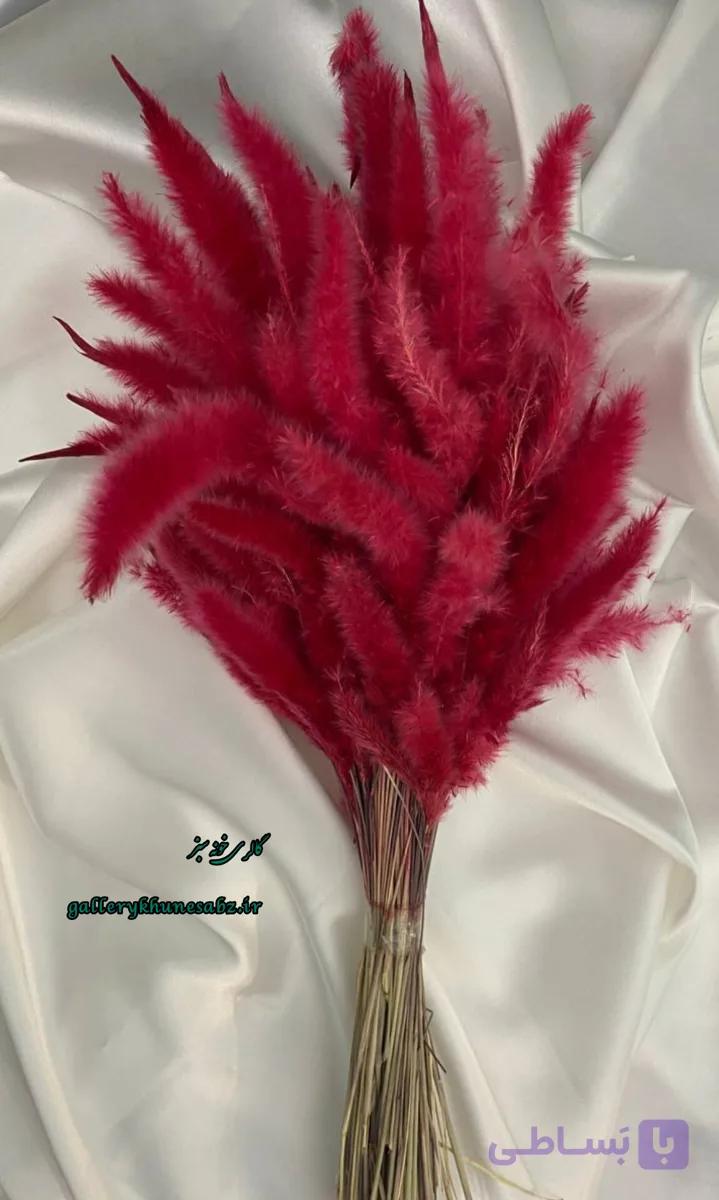 دسته گل خشک دم روباهی رنگ سرخابی