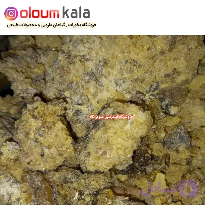 مصطکی آدامسی معطر(50گرم)