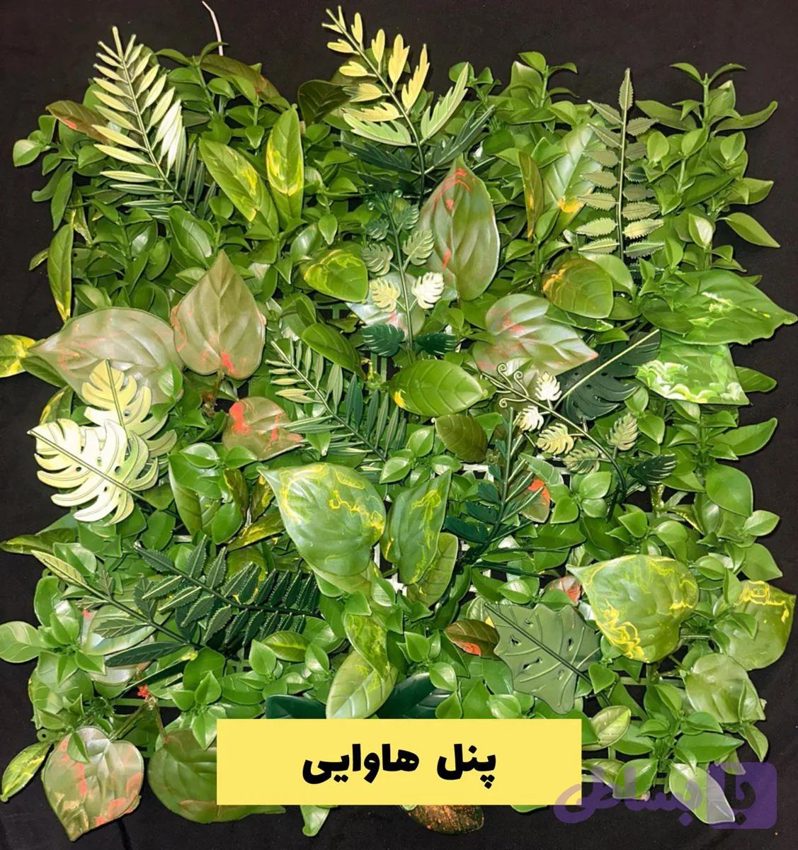 گرین وال پنل ترکیبی هاوایی — تصویر 1