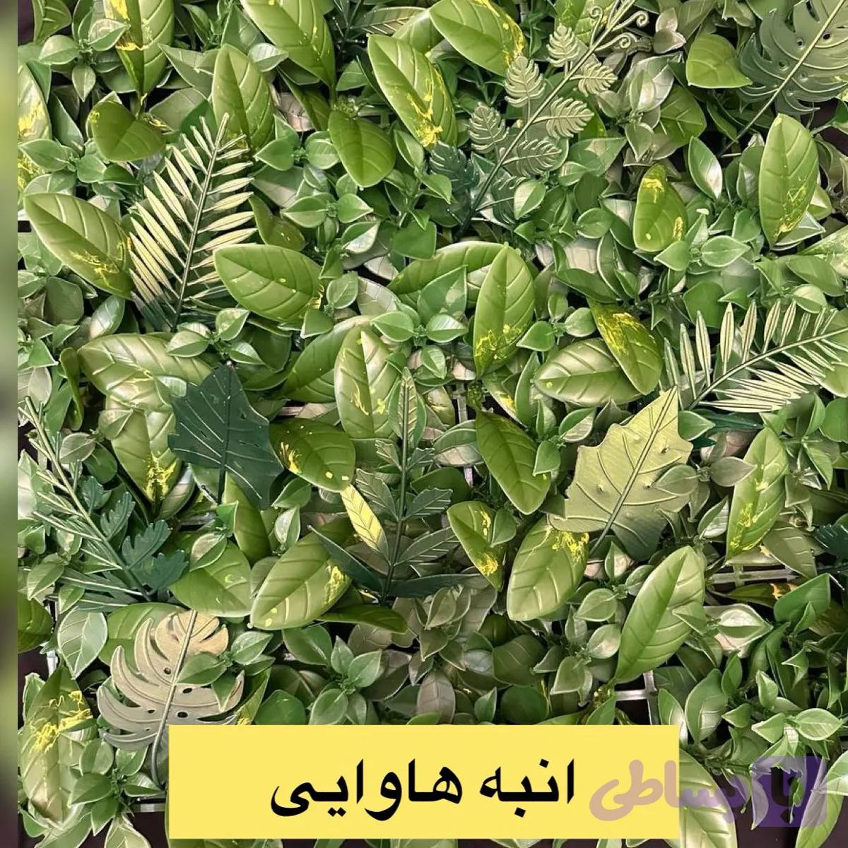 گرین وال پنل انبه هاوایی