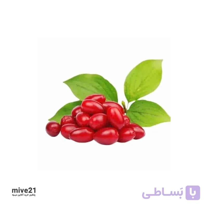 زغال اخته قزوین