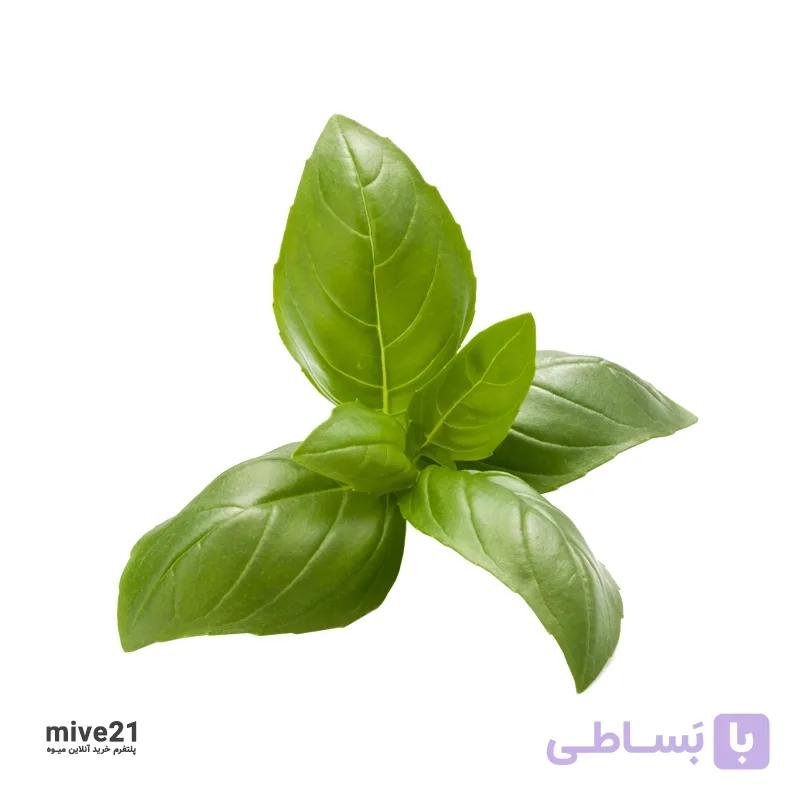 ریحان ایتالیا